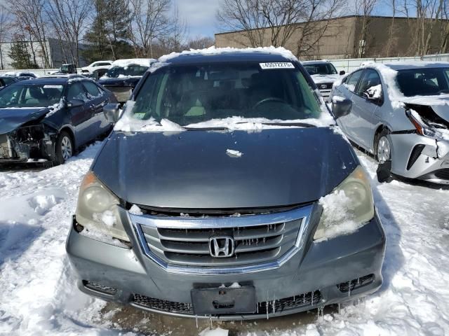 2008 Honda Odyssey EXL