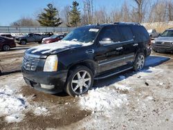 Cadillac salvage cars for sale: 2008 Cadillac Escalade Luxury