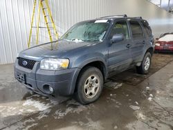 Salvage cars for sale at Nisku, AB auction: 2006 Ford Escape XLT