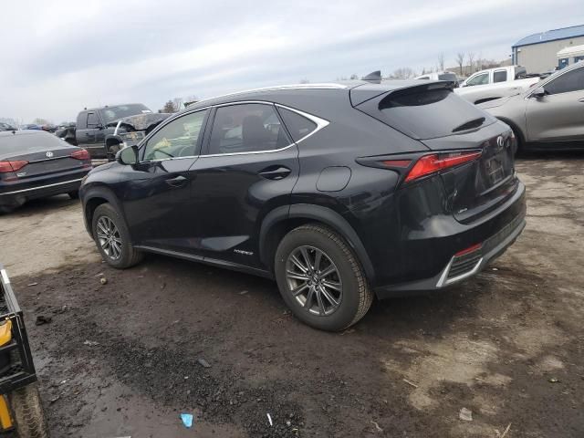 2019 Lexus NX 300H