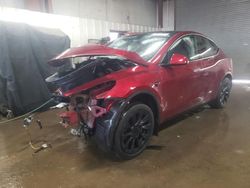 Salvage cars for sale at Elgin, IL auction: 2024 Tesla Model Y