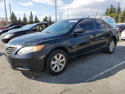 Salvage cars for sale at Rancho Cucamonga, CA auction: 2007 Toyota Camry CE