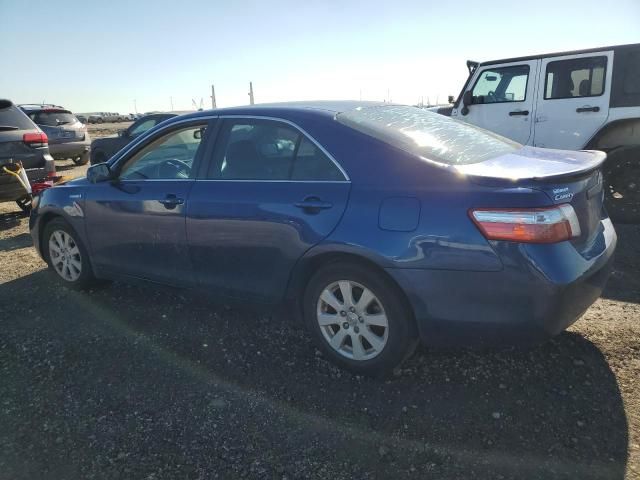 2008 Toyota Camry Hybrid