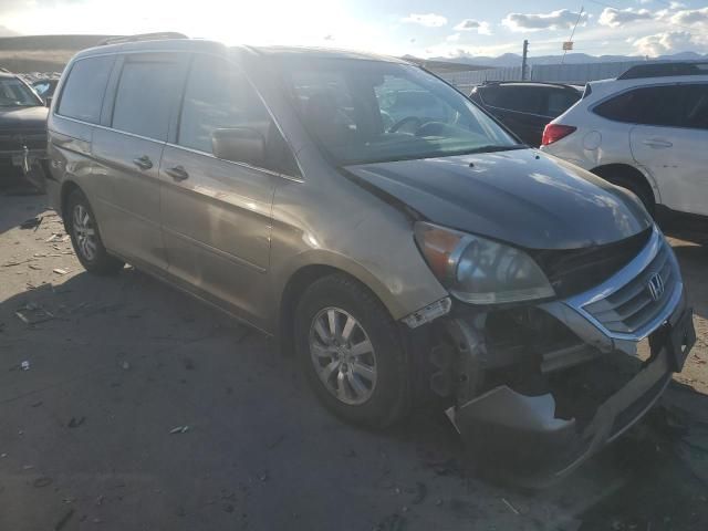 2008 Honda Odyssey EXL