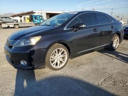 Salvage cars for sale at Sun Valley, CA auction: 2010 Lexus HS 250H