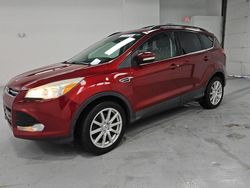 Ford Escape sel salvage cars for sale: 2013 Ford Escape SEL