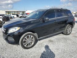 Salvage cars for sale at Riverview, FL auction: 2016 Mercedes-Benz GLE 350