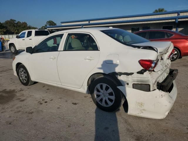 2010 Toyota Corolla Base