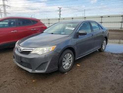 Salvage cars for sale at Elgin, IL auction: 2013 Toyota Camry L