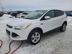 Salvage cars for sale at Wayland, MI auction: 2014 Ford Escape SE