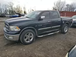 Salvage cars for sale from Copart Baltimore, MD: 2009 Dodge RAM 1500