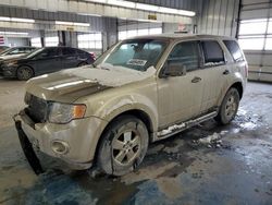 Salvage cars for sale at Fort Wayne, IN auction: 2012 Ford Escape XLS