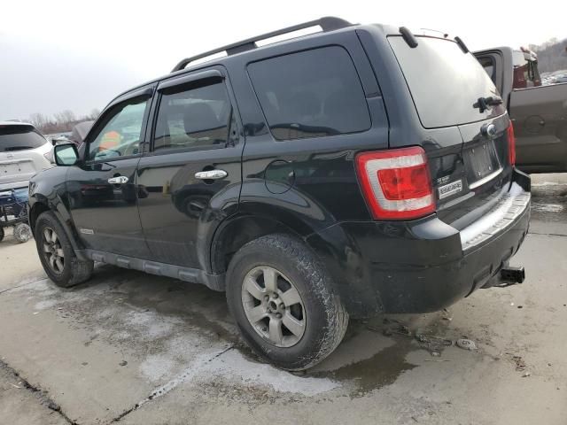 2008 Ford Escape XLT