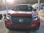 2024 Honda Passport Trail Sport