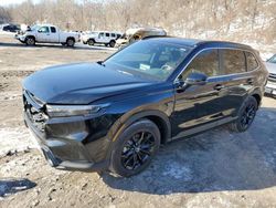 Salvage cars for sale at Marlboro, NY auction: 2024 Honda CR-V Sport