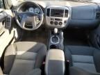 2007 Ford Escape XLT