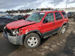 Salvage cars for sale at Pennsburg, PA auction: 2002 Ford Escape XLT