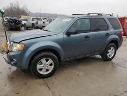 Ford salvage cars for sale: 2010 Ford Escape XLT