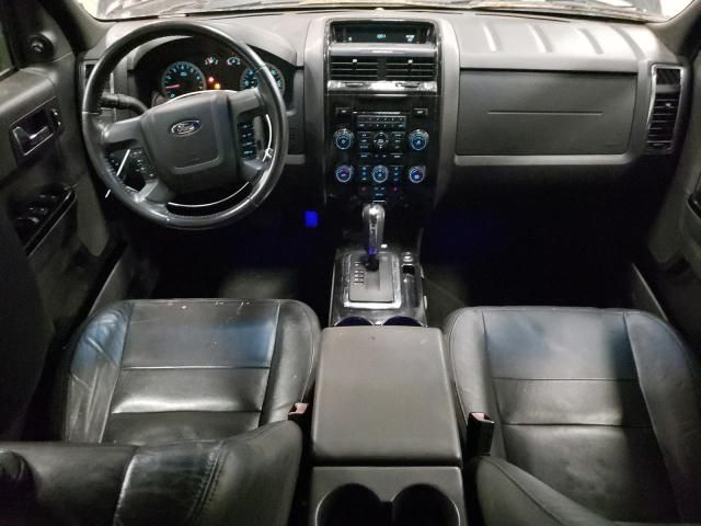 2010 Ford Escape Limited