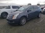 2013 Cadillac SRX Performance Collection