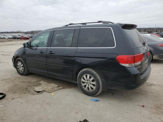 2008 Honda Odyssey EXL