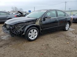 Salvage cars for sale at Chicago Heights, IL auction: 2010 Nissan Altima Base