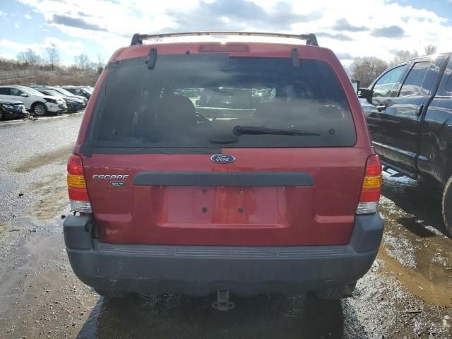 2004 Ford Escape XLT