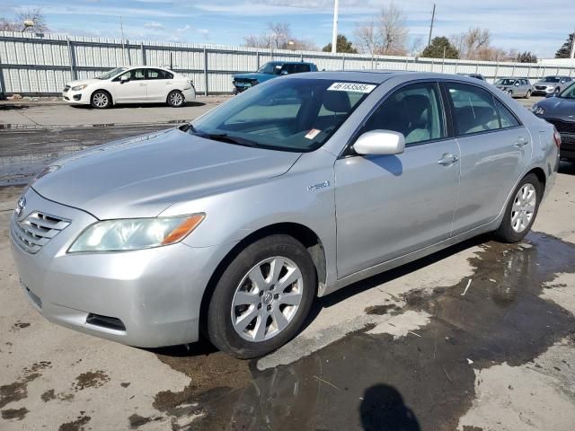 2009 Toyota Camry Hybrid