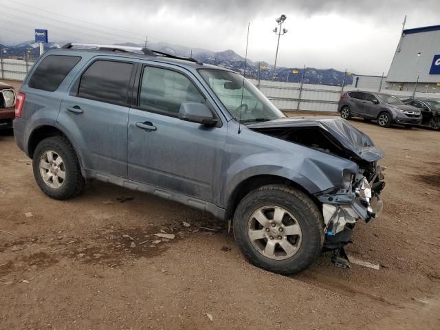 2011 Ford Escape Limited