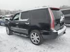 2008 Cadillac Escalade Luxury