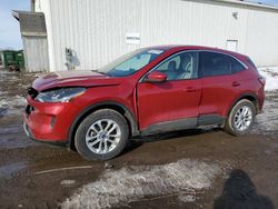 Salvage cars for sale at Portland, MI auction: 2020 Ford Escape SE