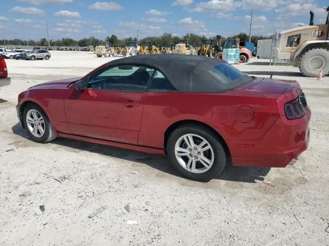 2014 Ford Mustang