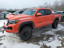 Salvage cars for sale at Ellwood City, PA auction: 2023 Toyota Tacoma Double Cab