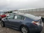 2008 Nissan Altima 3.5SE