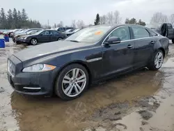 Salvage cars for sale at Bowmanville, ON auction: 2013 Jaguar XJL Portfolio