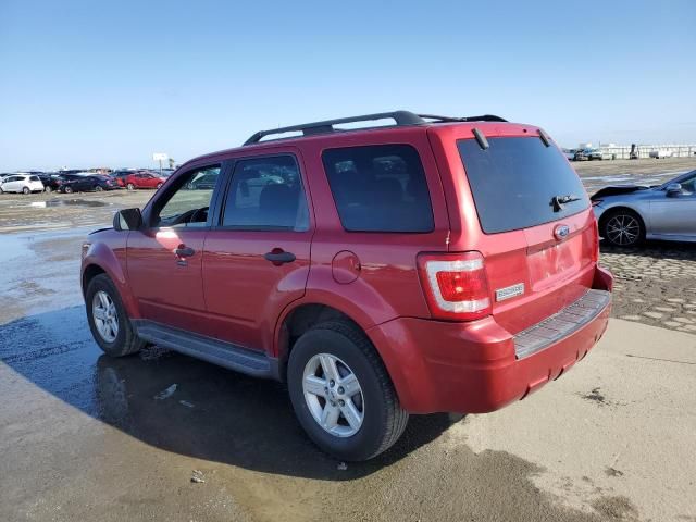 2009 Ford Escape XLT