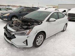 Salvage cars for sale at Anchorage, AK auction: 2020 Hyundai Elantra SE