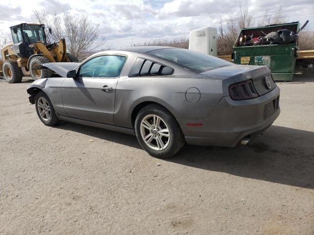 2013 Ford Mustang