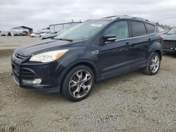 Salvage cars for sale at San Diego, CA auction: 2014 Ford Escape Titanium