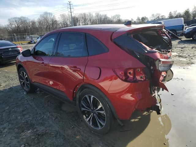 2022 Ford Escape SE