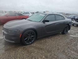 Salvage cars for sale at Houston, TX auction: 2023 Dodge Charger SXT