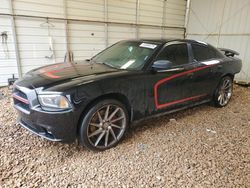 2014 Dodge Charger Police en venta en China Grove, NC