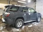 2024 Toyota 4runner SR5/SR5 Premium