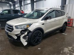 Salvage cars for sale at Ham Lake, MN auction: 2017 Ford Escape Titanium