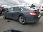 2011 Nissan Maxima S