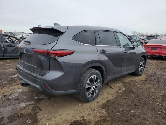 2023 Toyota Highlander Hybrid XLE