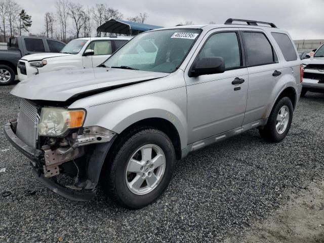 2010 Ford Escape XLT