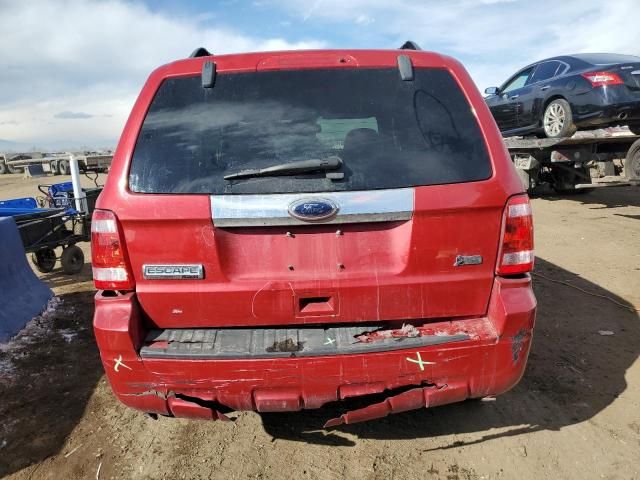 2010 Ford Escape Limited