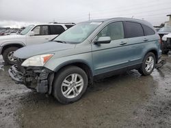 Salvage cars for sale from Copart Eugene, OR: 2010 Honda CR-V EXL