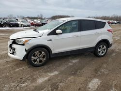 Salvage cars for sale from Copart Portland, MI: 2016 Ford Escape SE